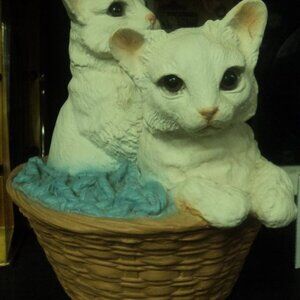 Vintage Cats in basket, glass eyes, look very real